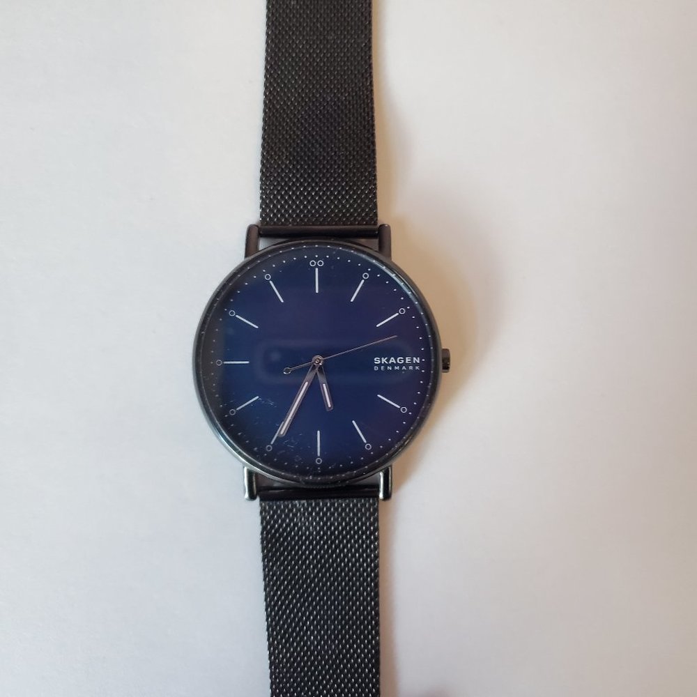 mens skagen stainless steel watch